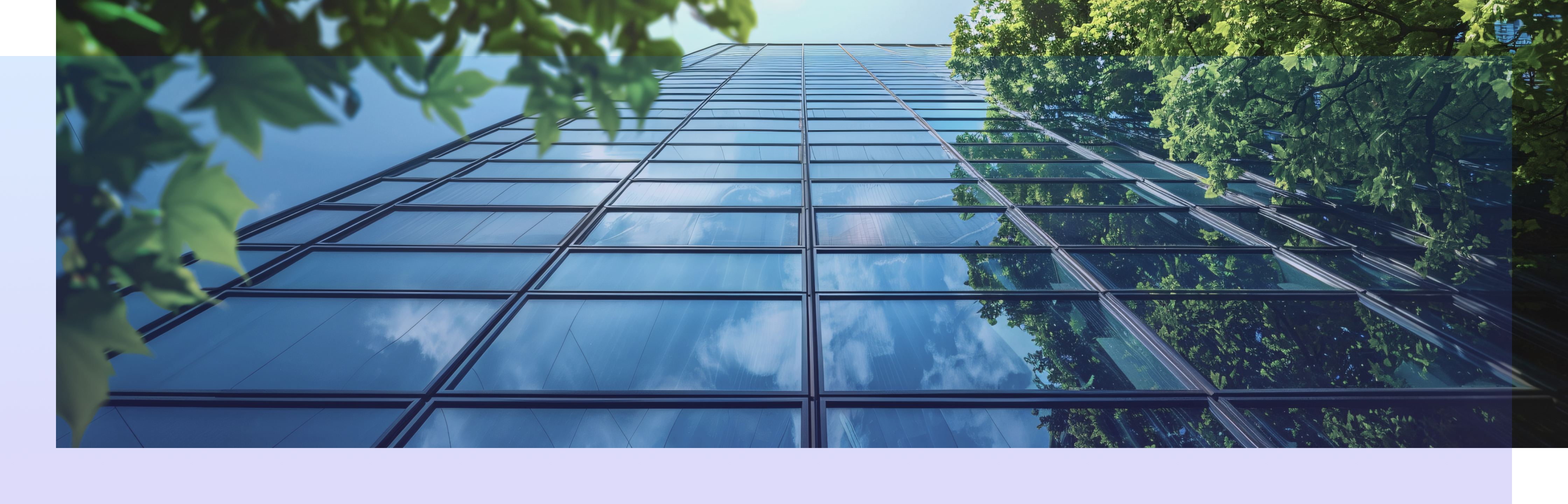 ページヘッダー画像